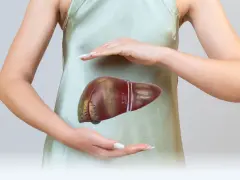 Dłonie otaczają model wątroby, symbolizując troskę o zdrowie. Badanie poziomu ggt jest kluczowe dla oceny jej funkcji.