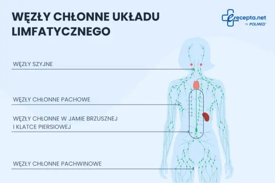 Schemat układu limfatycznego z zaznaczonymi węzłami chłonnymi pachwinowymi, pachowymi, szyjnymi oraz w jamie brzusznej i klatce piersiowej.